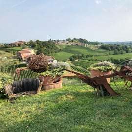 Venise : visite des vignobles des collines du Prosecco avec dégustations et déjeuner