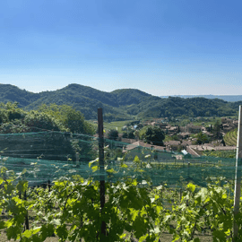 Excursion dans les collines du Prosecco depuis Venise