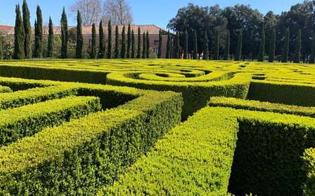 Venise : L'expérience du labyrinthe de Borges sur l'île de San Giorgio