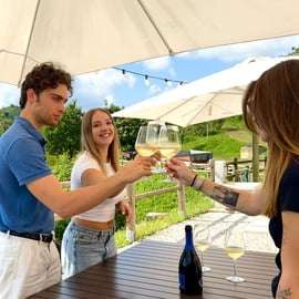 Excursion dans les collines du Prosecco depuis Venise