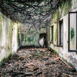 Excursion privée à l'île de Poveglia depuis Venise