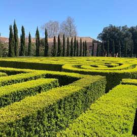 Venise : L'expérience du labyrinthe de Borges sur l'île de San Giorgio