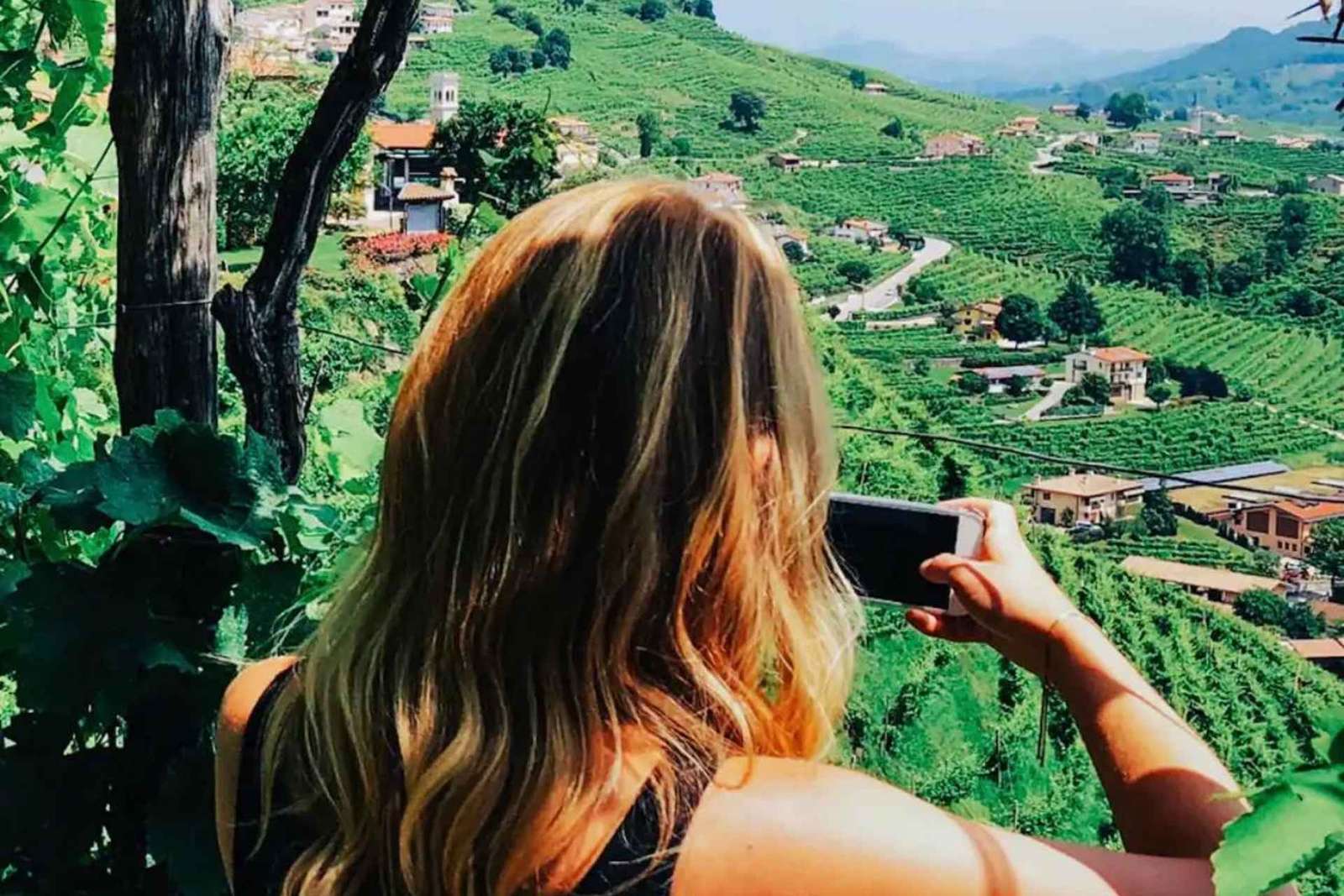 Venise : visite des vignobles des collines du Prosecco avec dégustations et déjeuner