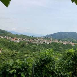 Venise : visite des vignobles des collines du Prosecco avec dégustations et déjeuner