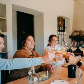 Au départ de Venise : Visite des collines de Prosecco et dégustation de vins